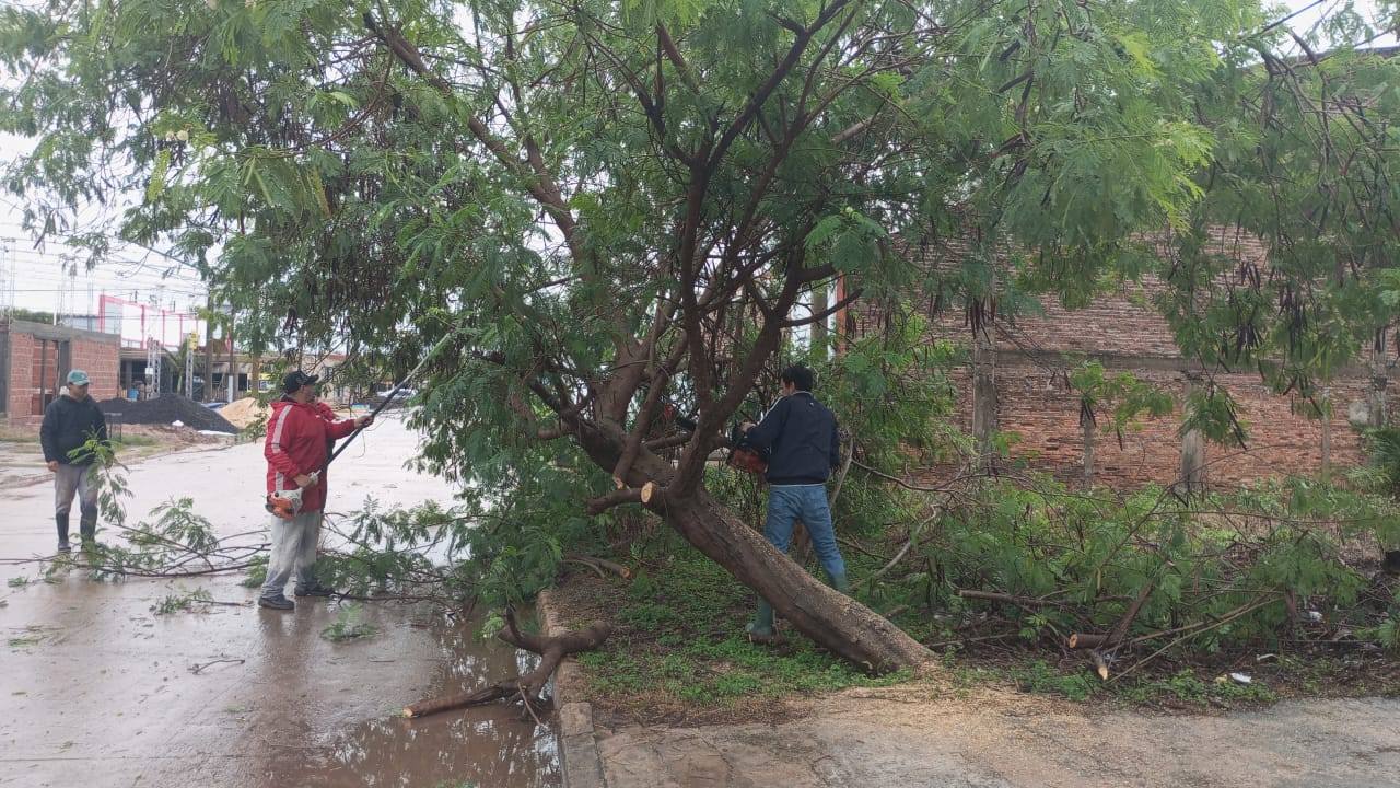 TRAS LA TORMENTA, EL MUNICIPIO DESPLIEGA CUADRILLAS EN DISTINTOS SECTORES DE LA CIUDAD