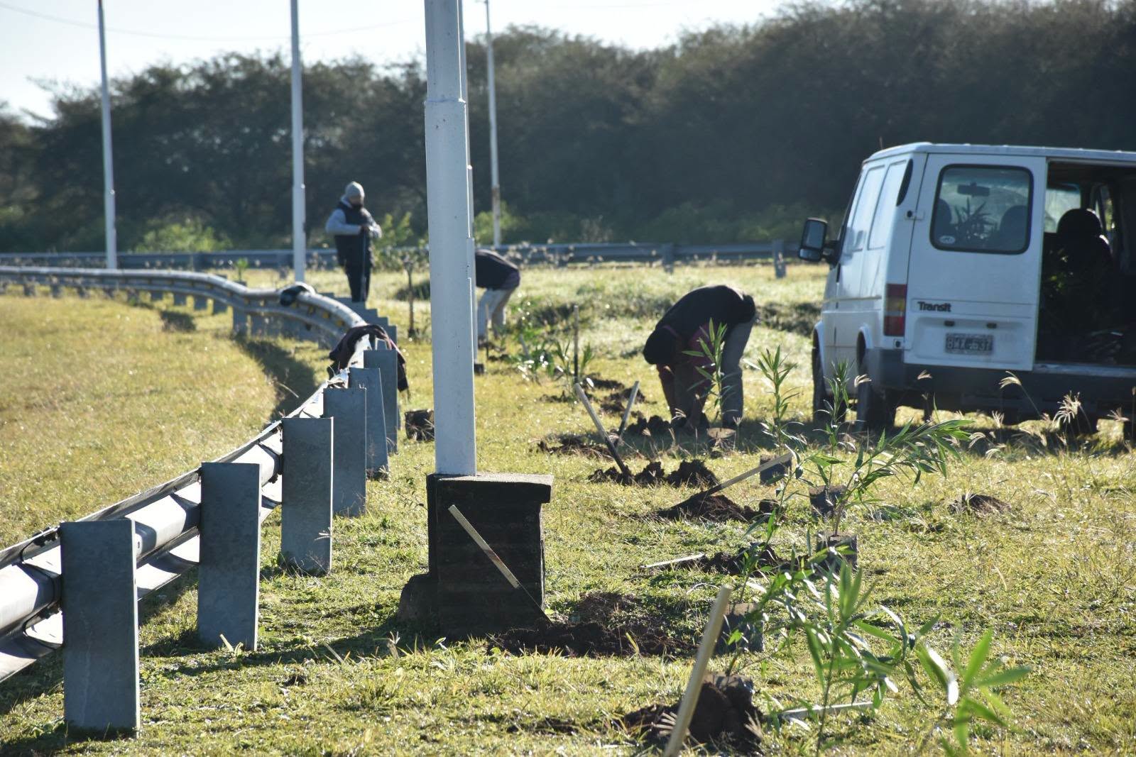 KOSCIAK DESTAC&Oacute; LA PLANTACI&Oacute;N DE 400 LAURELES EN EL ACCESO NORTE Y EL AVANCE DEL PLAN DE FORESTACI&Oacute;N EN VILLA &Aacute;NGELA 