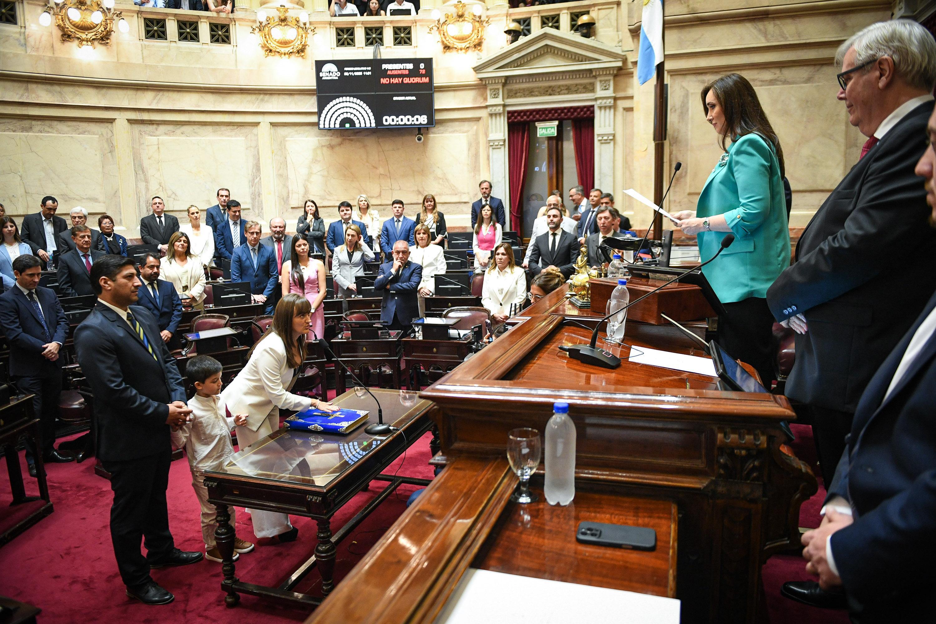 *SILVANA SCHNEIDER JUR&Oacute; COMO SENADORA NACIONAL*