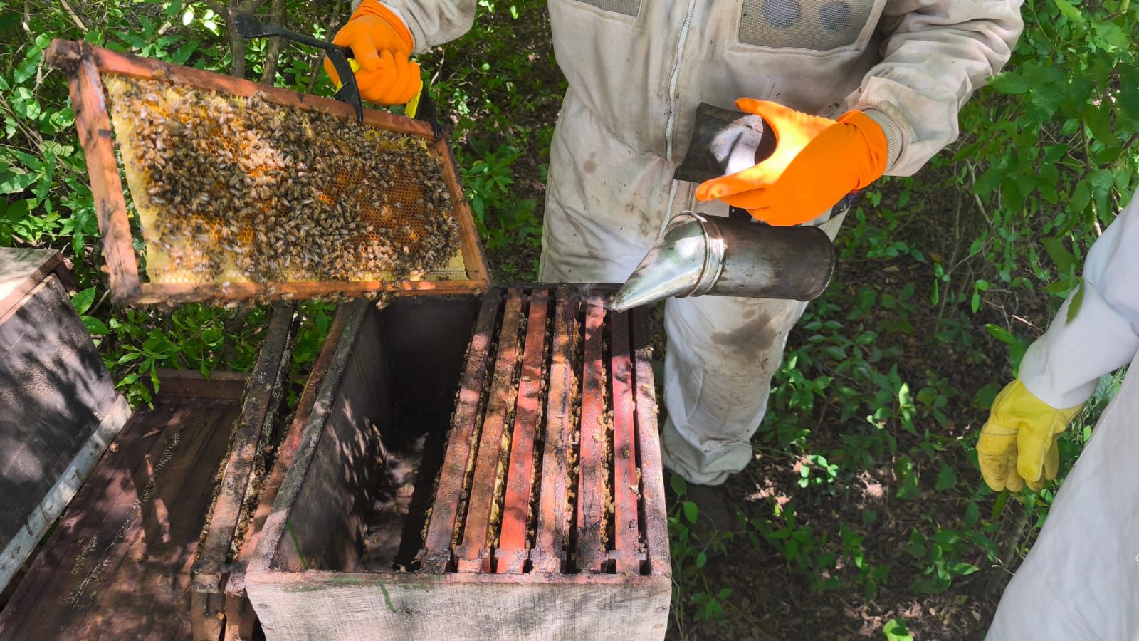 *COMPROMISO CON LA CALIDAD: EXAMEN REGIONAL PARA NUEVOS INSPECTORES SANITARIOS AP&Iacute;COLAS DE CHACO Y FORMOSA*